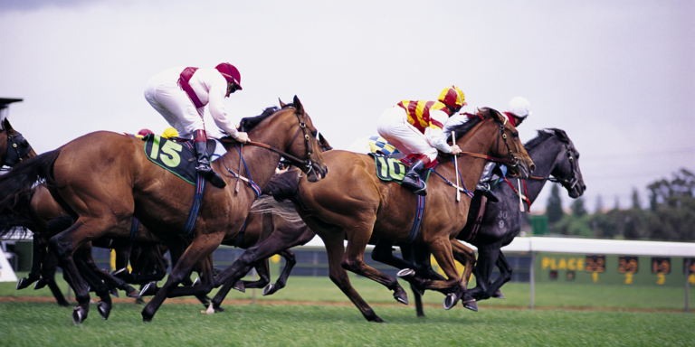 horse race tips